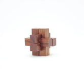 Buy Wooden Burr Puzzle Game Set for Kids 8 Year Old & Adults Alike